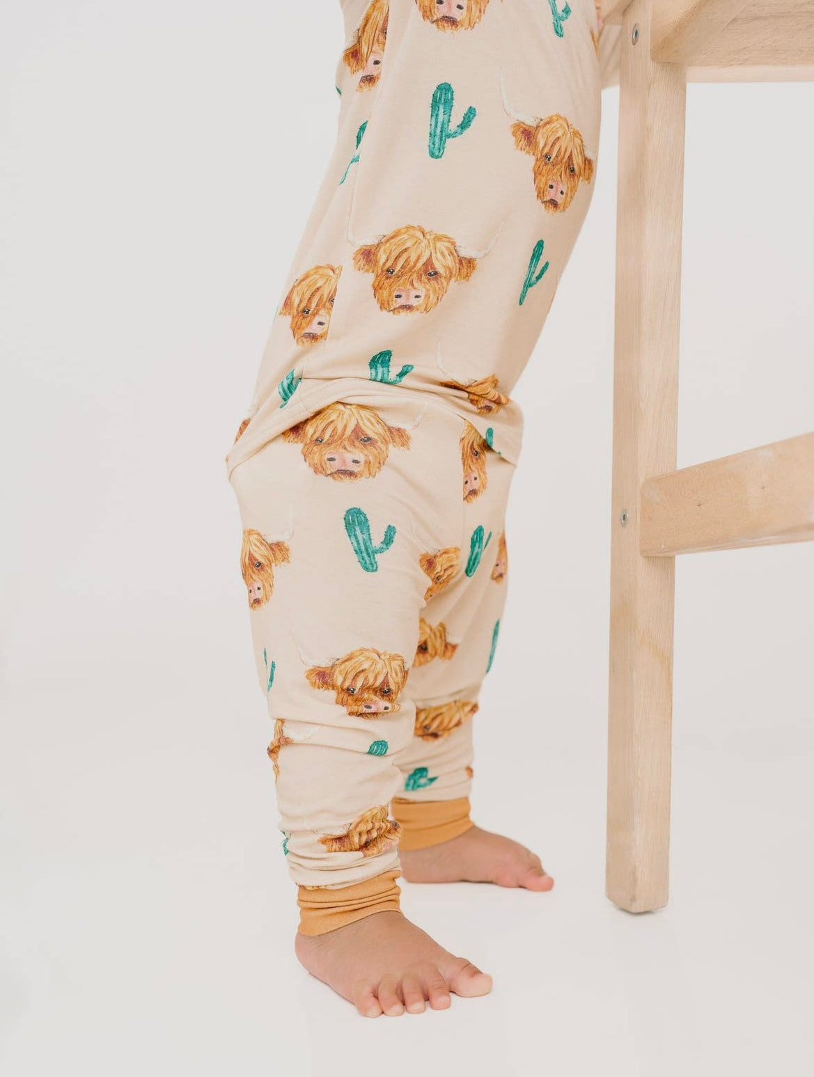 Bamboo Set || Cactus Highland Cow