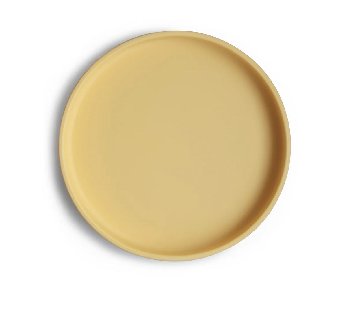 CLASSIC SILICONE SUCTION PLATE