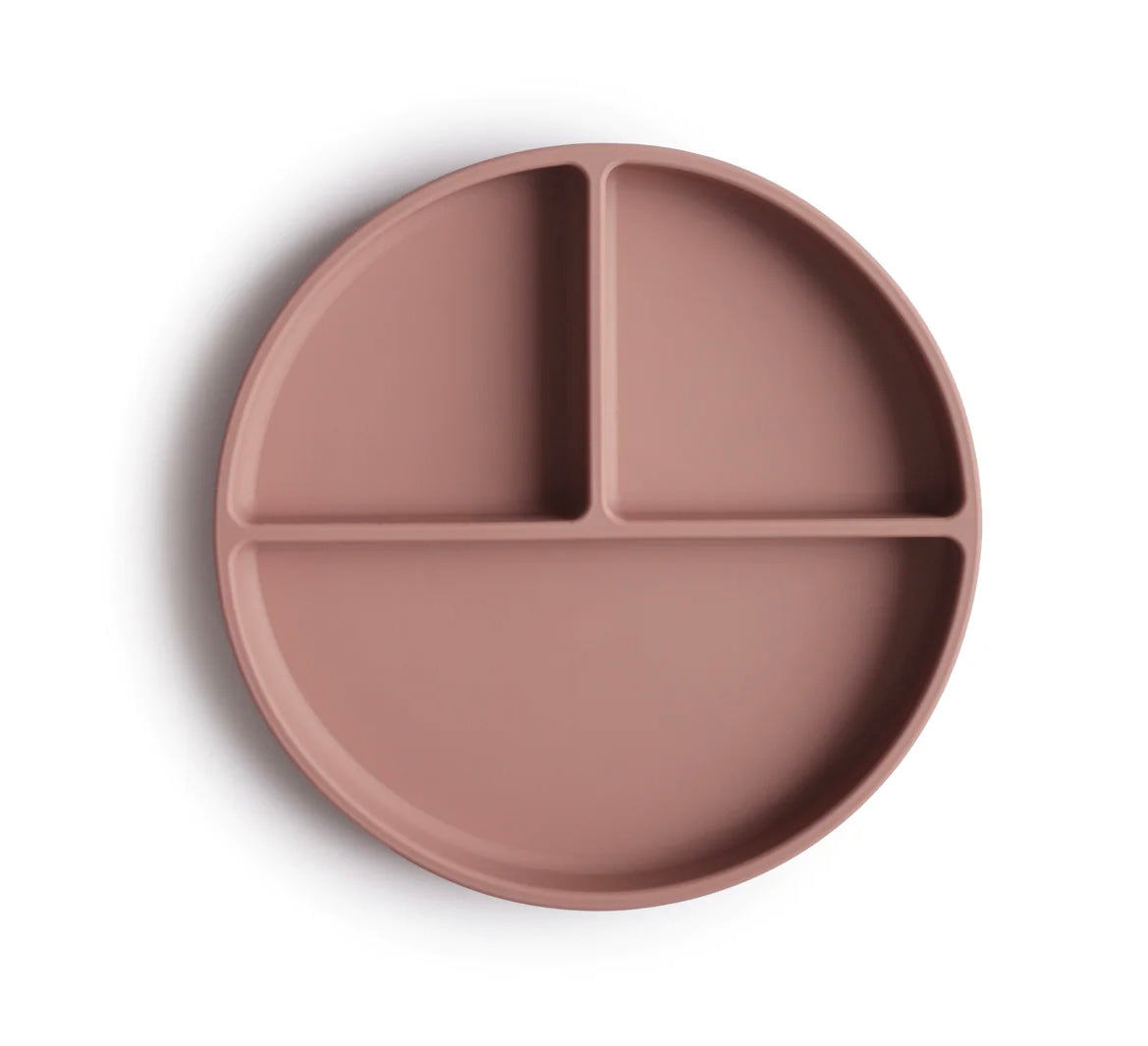 SILICONE SUCTION PLATE || DIVIDED