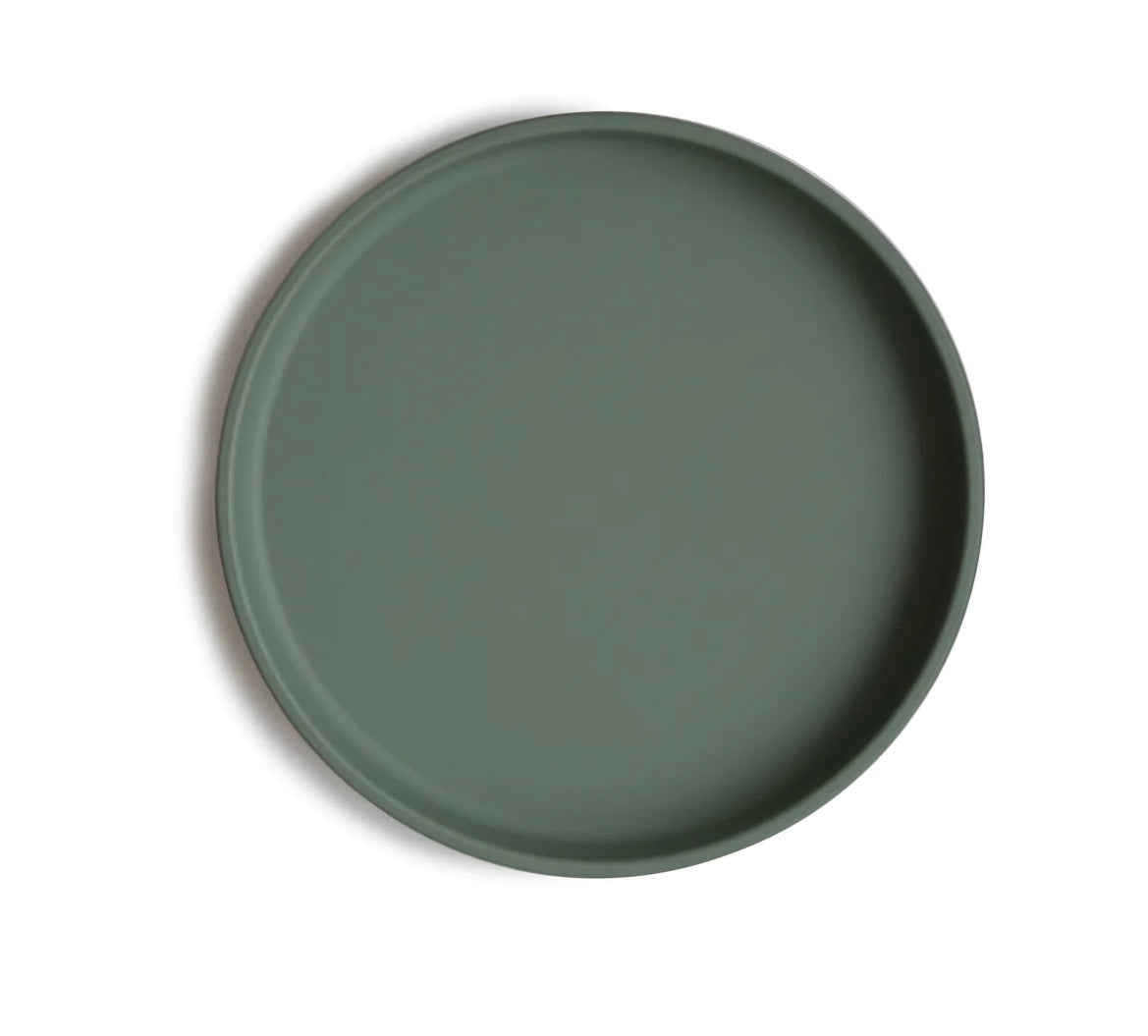 CLASSIC SILICONE SUCTION PLATE