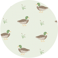 Duck, Duck Cute Kids Pajamas: 4T