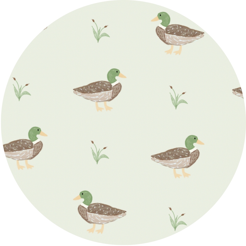 Duck, Duck Cute Kids Pajamas: 4T