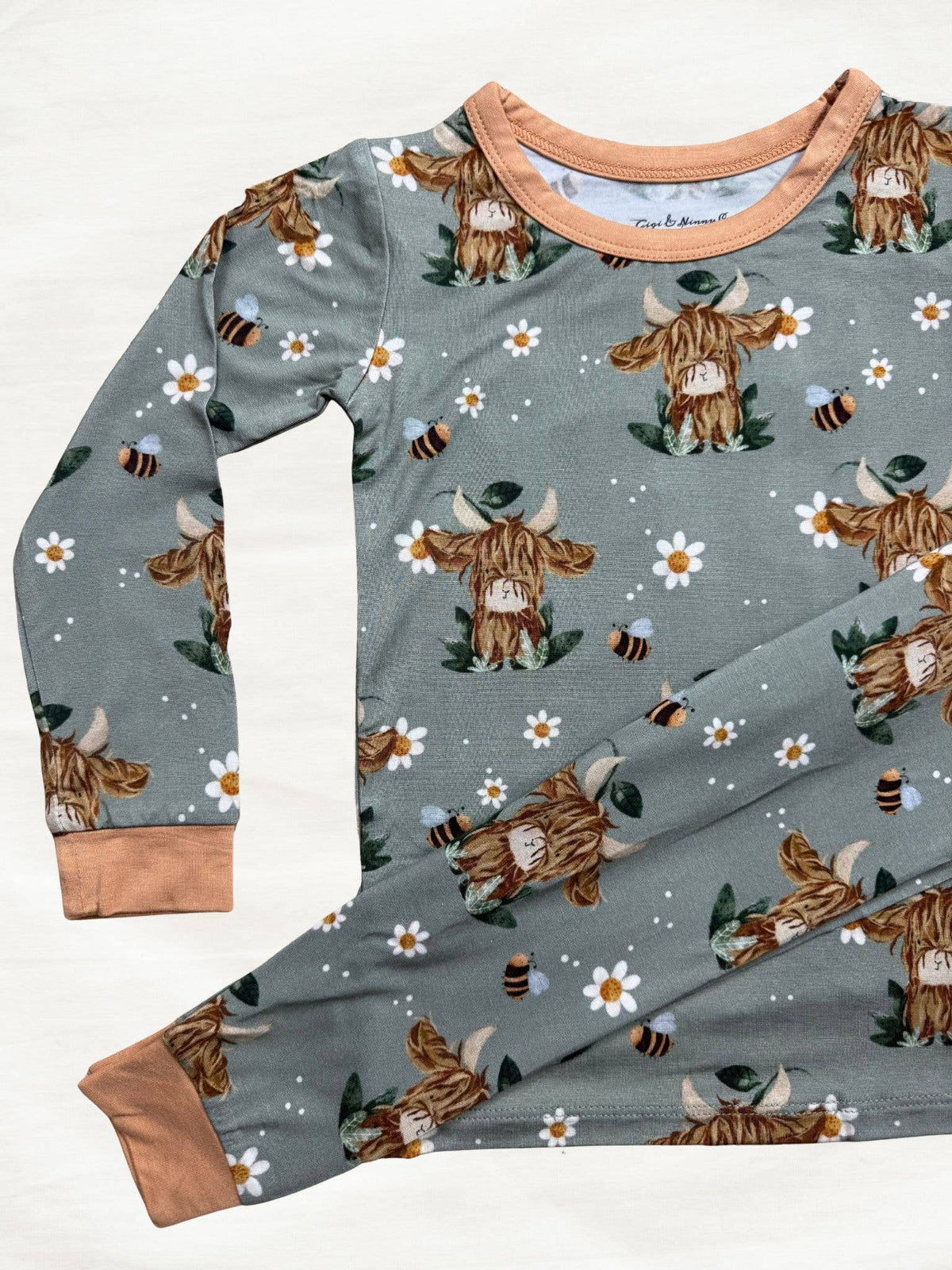 Daisy Mae Highland Cow Two Piece Pajama: 3T